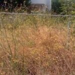 Ακαθάριστα Οικόπεδα: Αυστηροποιούνται τα πλαίσια – Διπλασιάζονται πρόστιμα για το 2026