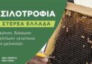 Ξεκινά η β’ φάση του Προγράμματος”Βασιλοτροφία στη Στερεά Ελλάδα”