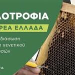 Ξεκινά η β’ φάση του Προγράμματος”Βασιλοτροφία στη Στερεά Ελλάδα”