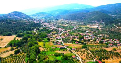 Ερώτηση Κατσούλη για τα αρδευτικά δίκτυα του Τ.Ο.Ε.Β. Ευπαλίου – Μοναστηρακίου – Κλήματος – Δροσάτου
