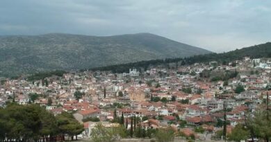 Διακοπή ρεύματος τη Δευτέρα στη Δεσφίνα