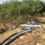 Ελαιώνας Άμφισσας: Από τις μελέτες του 1998 στις ανεκπλήρωτες υποσχέσεις του 2026: Κοροϊδία και αδράνεια