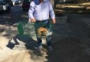Με επιτυχία η 5η δράση στείρωσης αδέσποτων γατών στο Γαλαξίδι