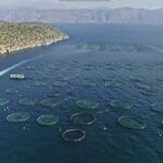 Εργατικό Κέντρο Φωκίδας: Ανησυχία για τα μέτρα ασφαλείας στη «Γαλαξίδι Θαλάσσιες Καλλιέργειες»
