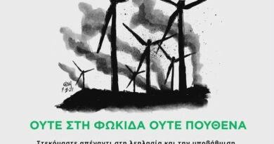 ΌΤΑΝ Η ΠΡΟΣΤΑΣΙΑ ΤΟΥ ΔΑΣΟΥΣ ΠΕΡΙΟΡΙΖΕΤΑΙ ΣΕ ΟΡΟΥΣ ΑΠΟΚΑΤΑΣΤΑΣΗΣ ΜΕΤΑ ΤΗΝ ΕΠΕΜΒΑΣΗ